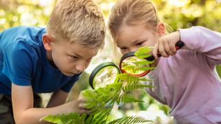 Riaditeľské voľno